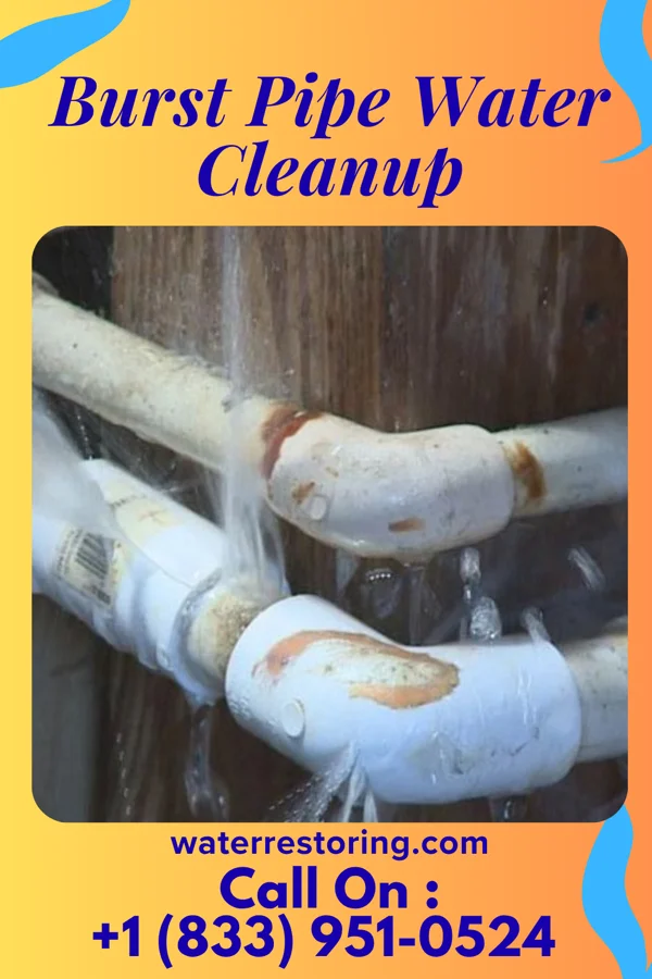 Burst Pipe Water Cleanup in Hackensack, NJ