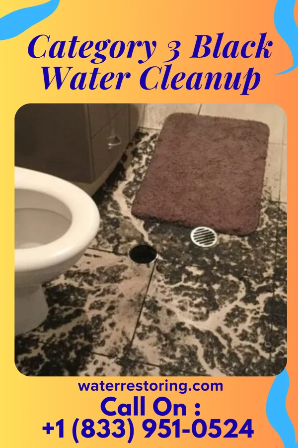 Category 3 Black Water Cleanup in Hackensack, NJ